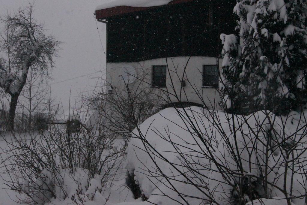 Pensjonat Nostalgia Sosnówka Buitenkant foto